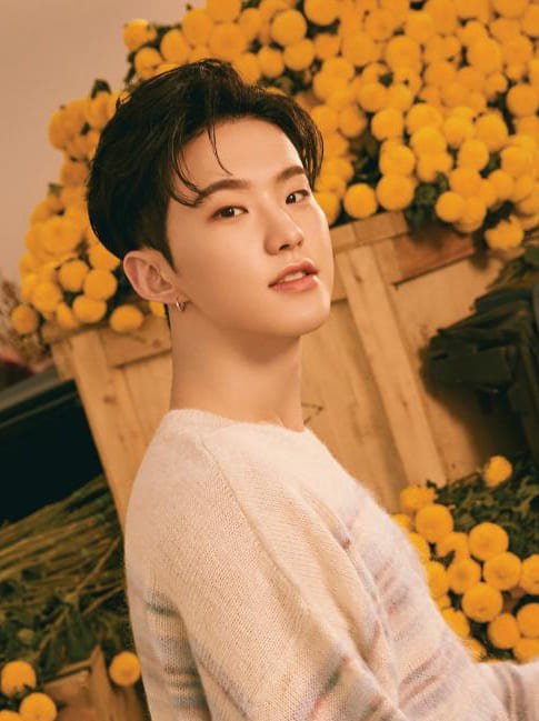 K-POP: Os perfumes dos membros do Seventeen com a The Saem
