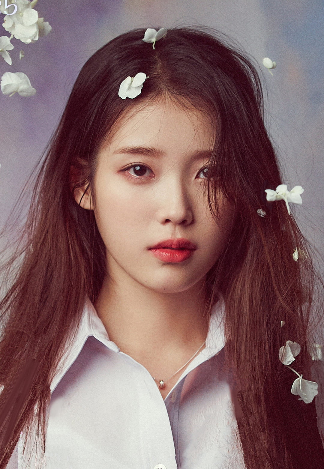 Artistas de K-POP que voltaram em 2021 – Revista KoreaIN