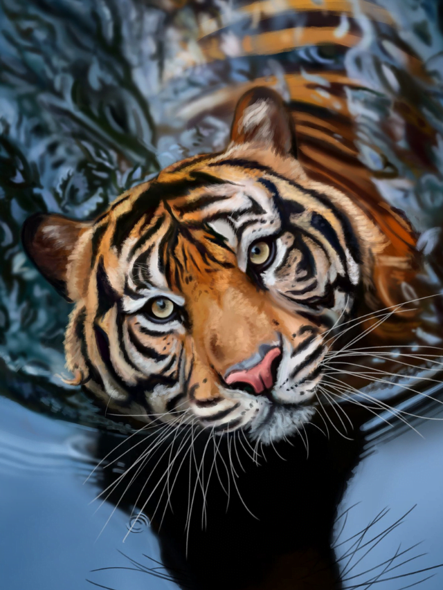 Ano do Tigre - capa com arte de Petra Ramesova